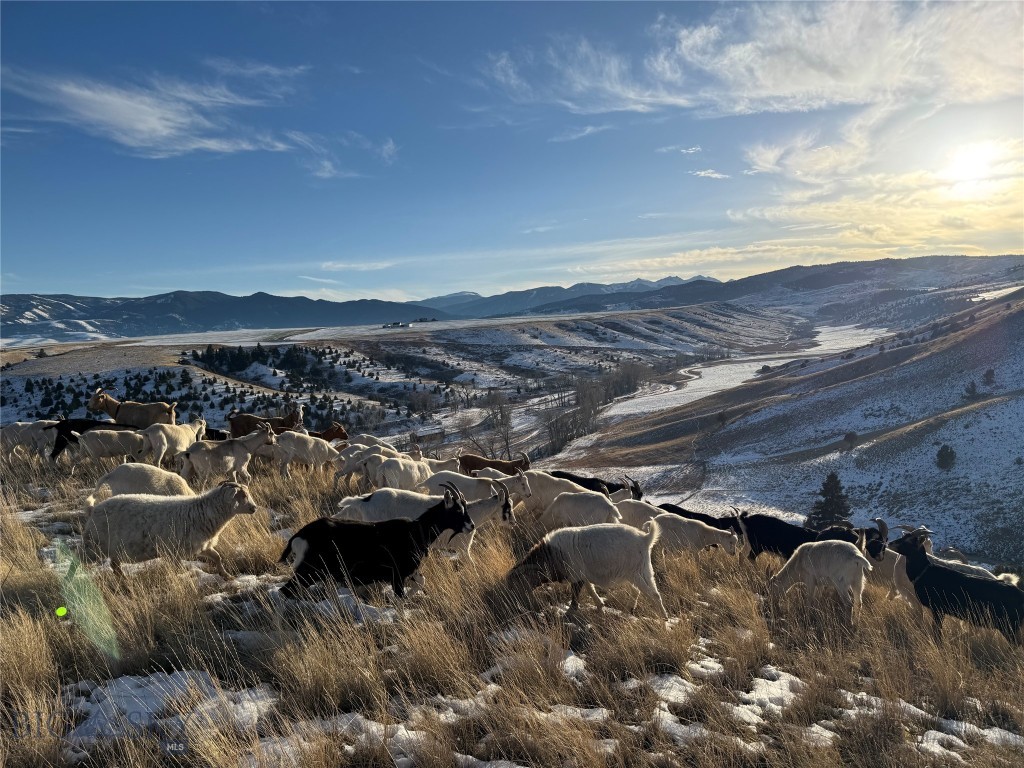 179 Montana Ranch Trail Road
