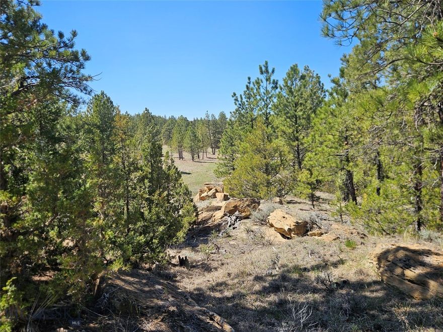 22.805 acres with views, trees, good roads, and SELLER FINANCING!  Located appx 45 minutes southwest of Miles City, Montana - a ranching & rodeo community.  The property has a rough structure on it and some cleanup work to be done.  Power & county road are approx 1/2 mile to the east.  Low price, seller finance, and cleanup work make this property a great opportunity.  20% down payment required for seller financing.  Ask for payment amounts, we are happy to share them!