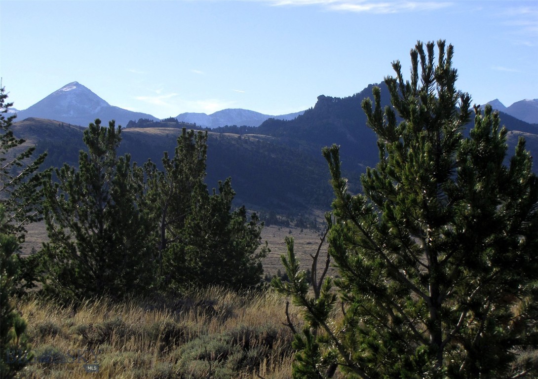Own your own patented mining claim at the foot of the Tobacco Root Mountains with great views! Only 40 miles from Bozeman this property is in a secluded area of Montana that once was a bustling mining area. If you are looking for your private piece of Montana, this may be what you are looking for... 12.89 acres that would be a great location for your own recreational get away. This property borders BLM public land and is in an area with thousands of acres of public land to explore. It is only 12 miles to the northeast to a fishing access on the Madison River and 10 miles to the southeast to Ennis Lake for fishing. To west, in the Tobacco Root Mountains are many high mountain lakes as well for fishing and many ATV and 4x4 trails to explore. It is only 6.5 miles west of Norris and located just 40 miles west of Bozeman, about 16 miles north of Ennis. The views are huge, looking directly west into the Tobacco Root Mountains as well as east views into the Madison Range, with distant views of the Bridger and Elkhorn mountains. The access is secured with a private easement off a county road, though there currently is also access via a BLM road. The land offers you seclusion, big, expansive views, and plenty of land to develop to fit your dreams. It is an out-of-the-way setting that is far enough from town and the city lights to slow down and enjoy the beauty of Montana. The owner is offering financing on a contract for deed with 20% or more down. Land like this in a mountainous setting with so much public land around is hard to find these days. This old mining claim is just waiting for someone to create their own personal and private retreat. Could it be you?