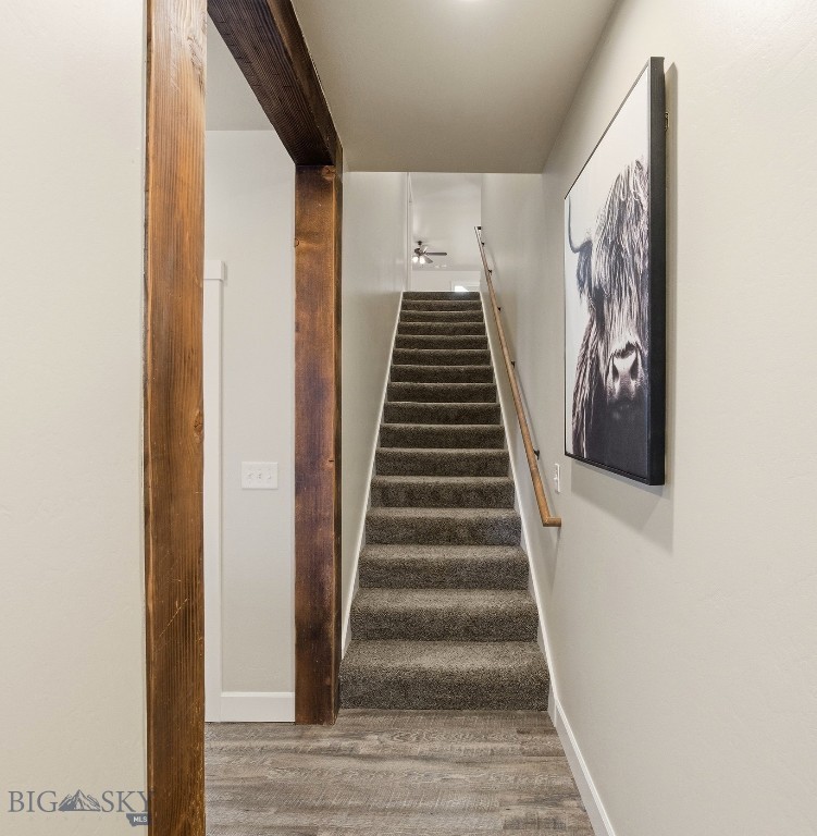 Countryside Estates - Residential