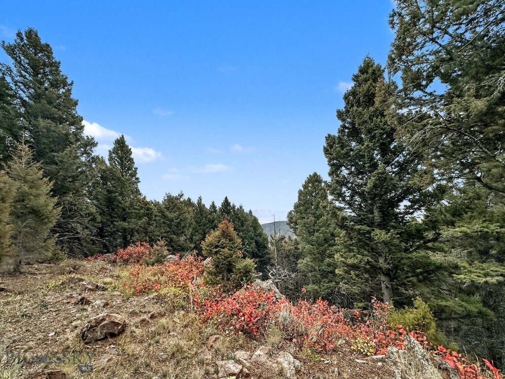 Shining Mountain Unit III - Land