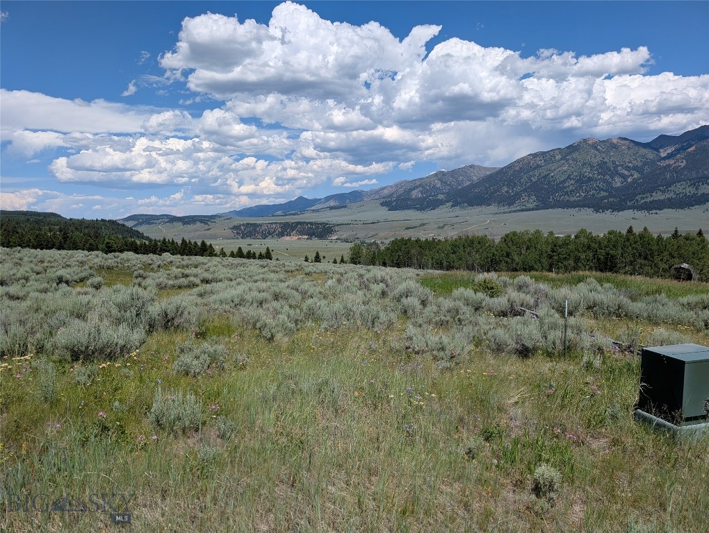 Madison River Ranches - Land