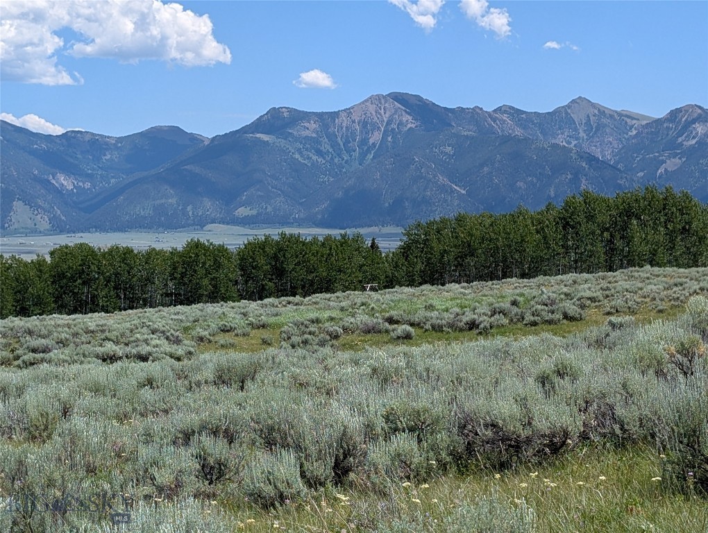 Madison River Ranches - Land