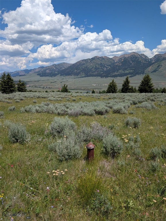 Madison River Ranches - Land