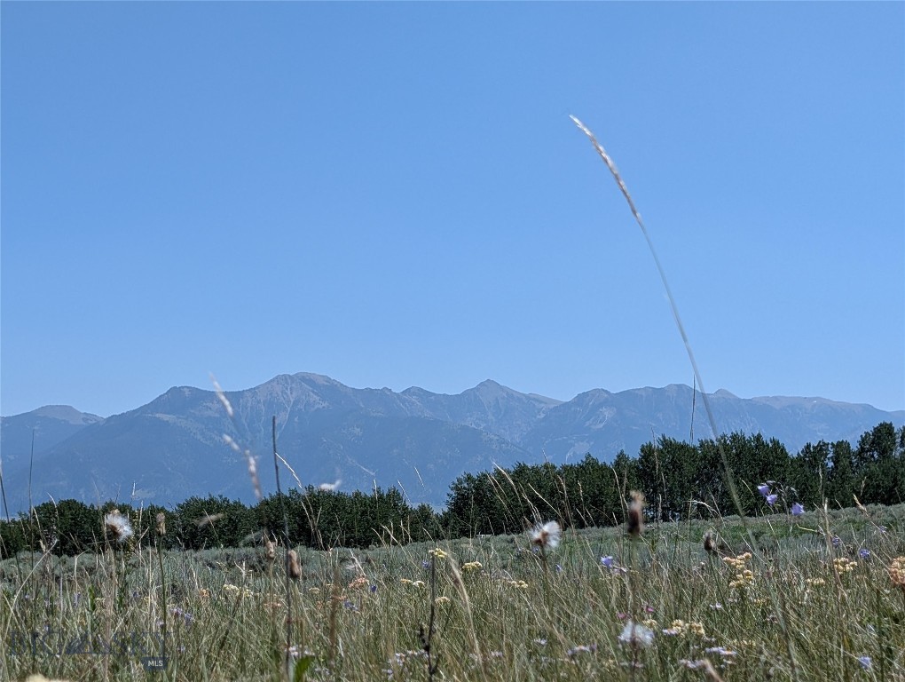 Madison River Ranches - Land