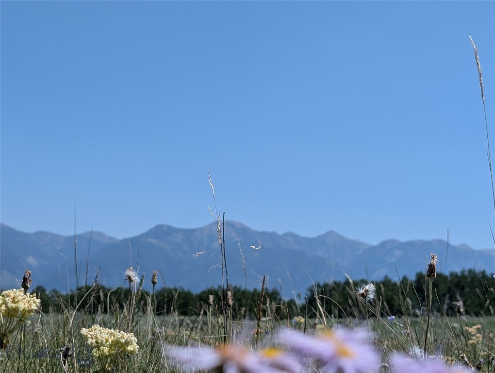 Madison River Ranches - Land