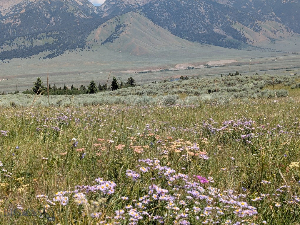Madison River Ranches - Land