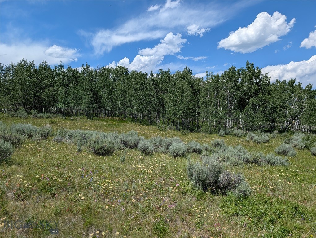 Madison River Ranches - Land
