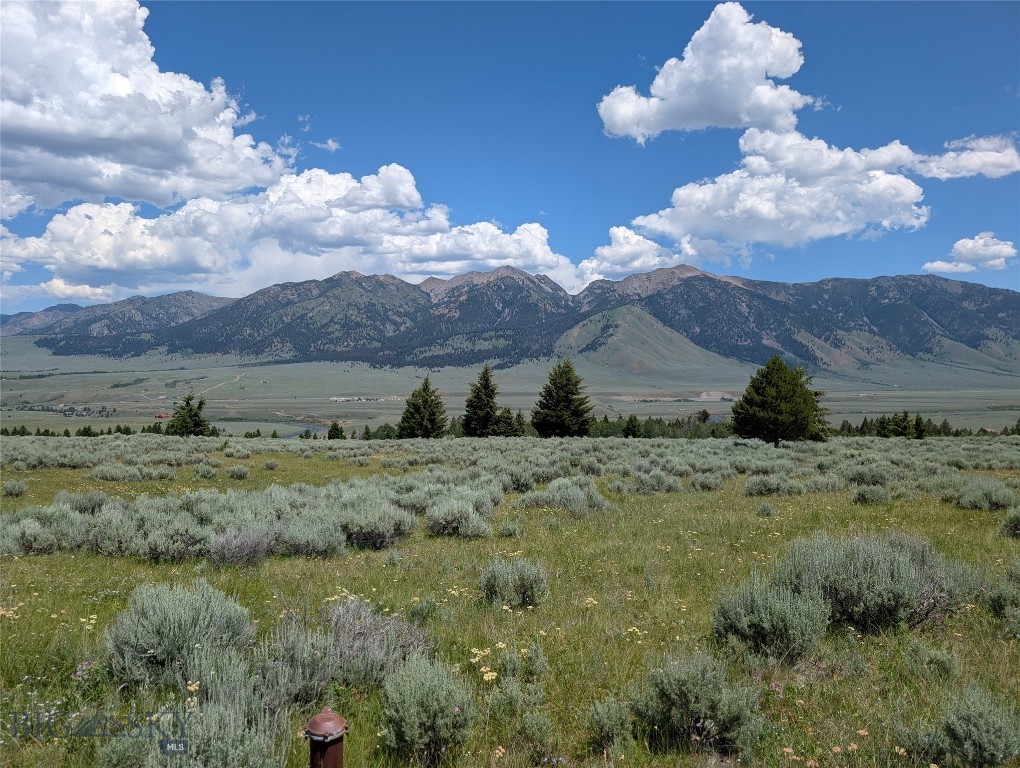 Madison River Ranches - Land