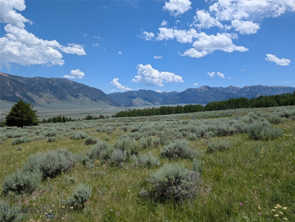 Madison River Ranches - Land