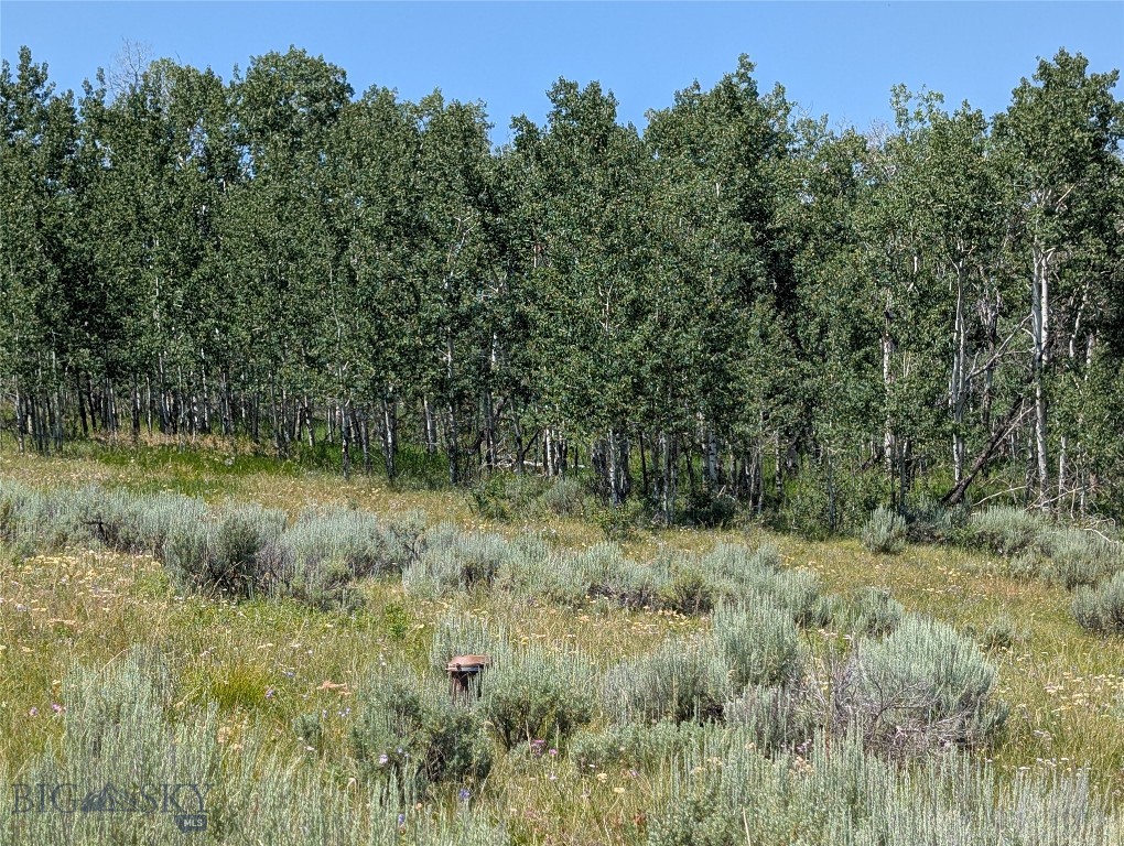 Madison River Ranches - Land