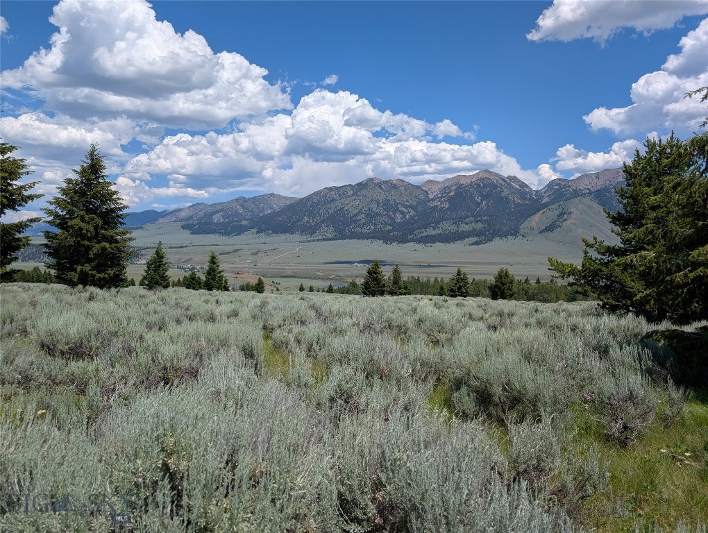 Madison River Ranches - Land