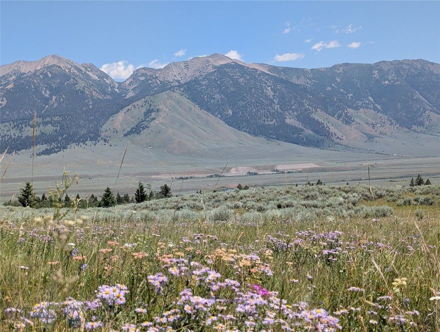 Stunning 20-Acre Parcel in Madison River Ranches with Well, Views & Private River Access

This premier 20-acre lot is located in Madison River Ranches, one of the Madison Valley’s most sought-after recreational communities. Positioned on a gentle east-facing slope, the property offers panoramic views of the Madison River Valley and surrounding peaks of the Continental Divide. With a 493-foot private well producing 20 GPM, power, and fiber optic internet to the lot line, it's ready for your dream build.  Madison River Ranch allows for seasonal use of a self contained recreational vehicle on any tract for up to 120 days during any calendar year.     

The land features a scenic mix of wildflower-filled meadows, native grasses, and a small stand of mature aspens. Multiple building sites offer excellent privacy and sweeping views. Roads are maintained seasonally; winter access is limited.

Property ownership includes exclusive access to a 55-acre private HOA park on the Madison River—renowned for its blue-ribbon trout fishing—as well as non-public gated access to thousands of acres in the adjoining Beaverhead National Forest. Additional outdoor recreation includes nearby Wade and Cliff Lakes (4.5 miles), Quake and Hebgen Lakes, and Yellowstone National Park (about 30 minutes away). The area is rich in wildlife, with elk, mule deer, antelope, and waterfowl frequently seen throughout the ranch.

Whether you’re looking for a seasonal retreat, a legacy property, or a full-time home base for year-round adventure, Lot 90 offers a rare combination of seclusion, scenery, and access to some of the best fishing and recreation in Montana.