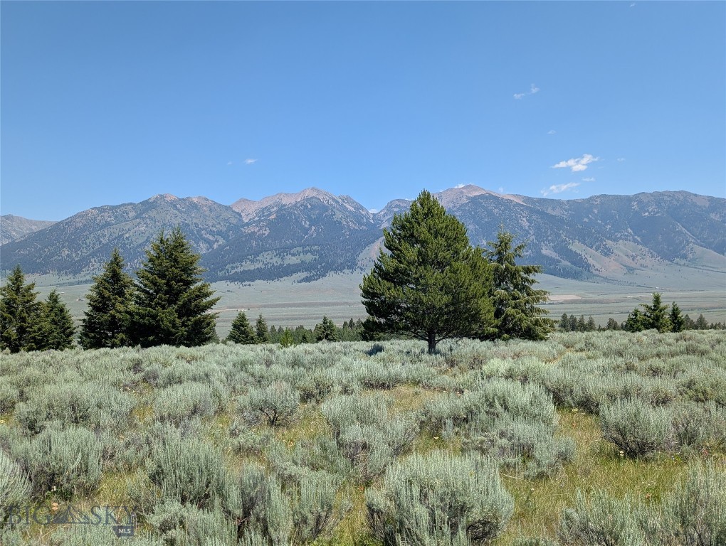 Madison River Ranches - Land