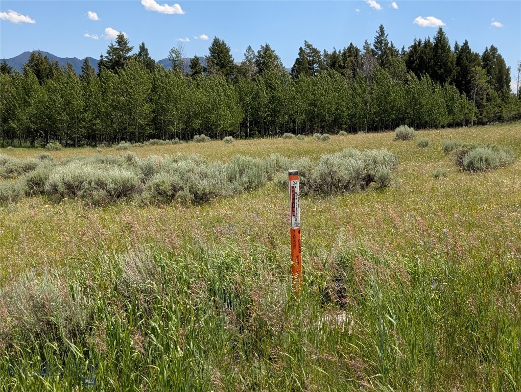 Madison River Ranches - Land