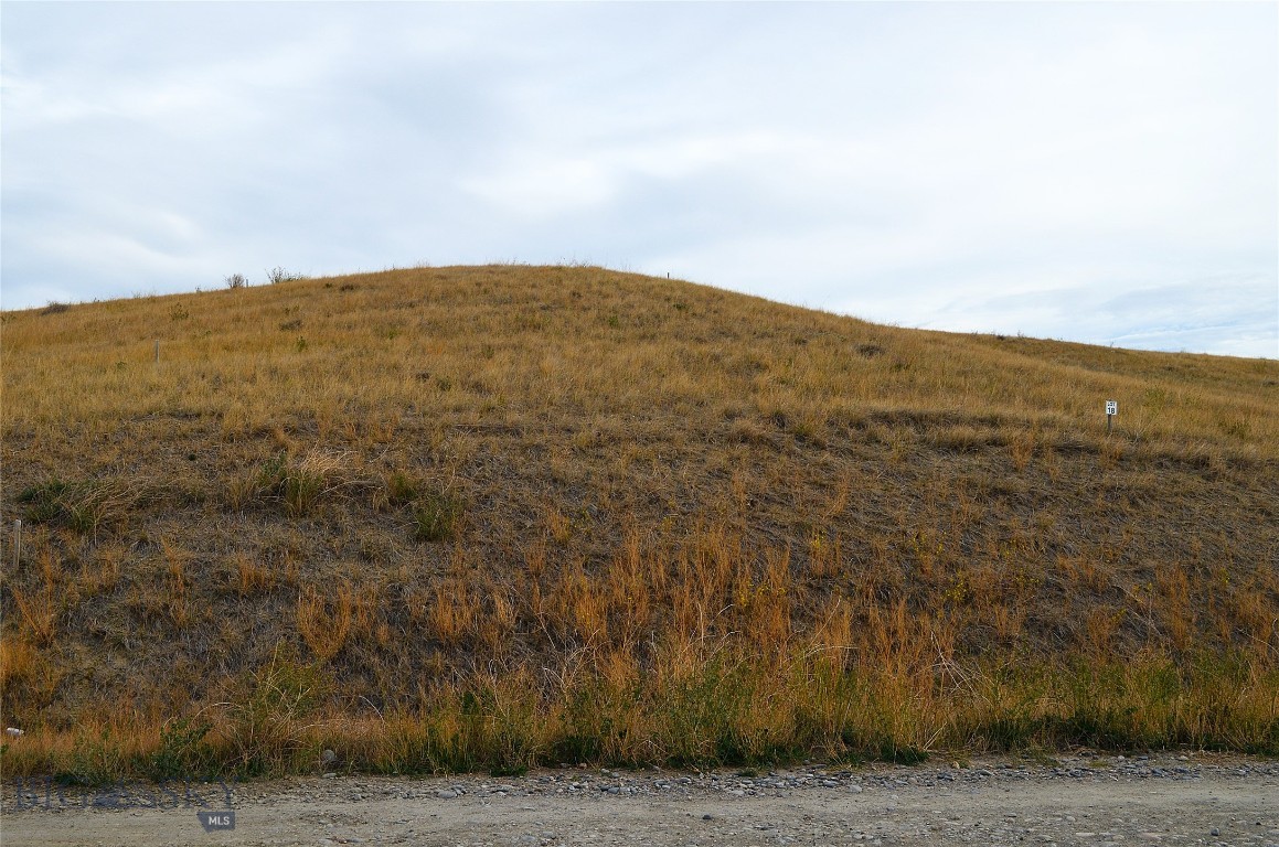 Mountain Vista - Land