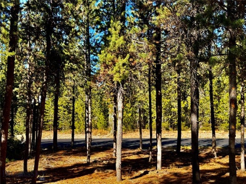Photo of 612 Apollinaris Avenue, West Yellowstone, MT 59758 (MLS # 415400)