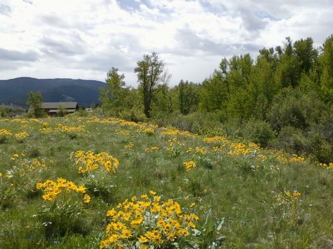 779 Cayuse Trail Bozeman MT 59715