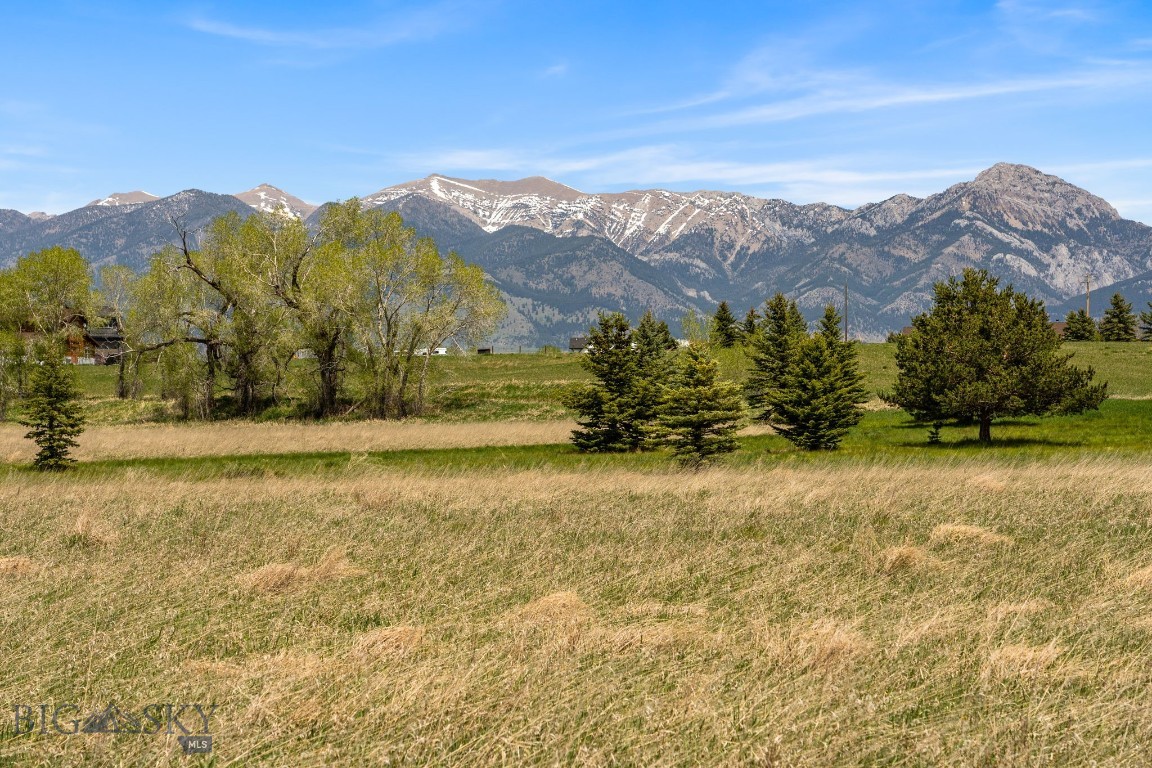 Bridger Lake Meadows - Land