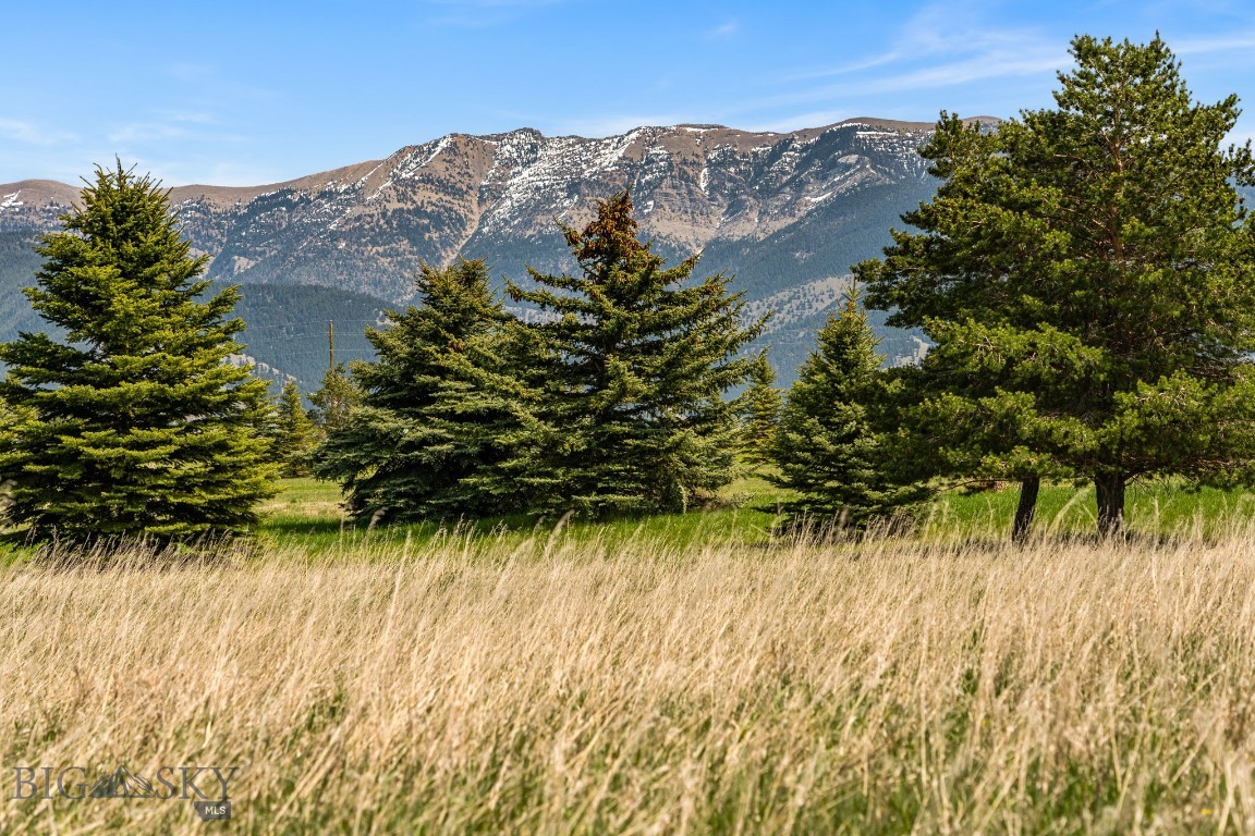 Bridger Lake Meadows - Land
