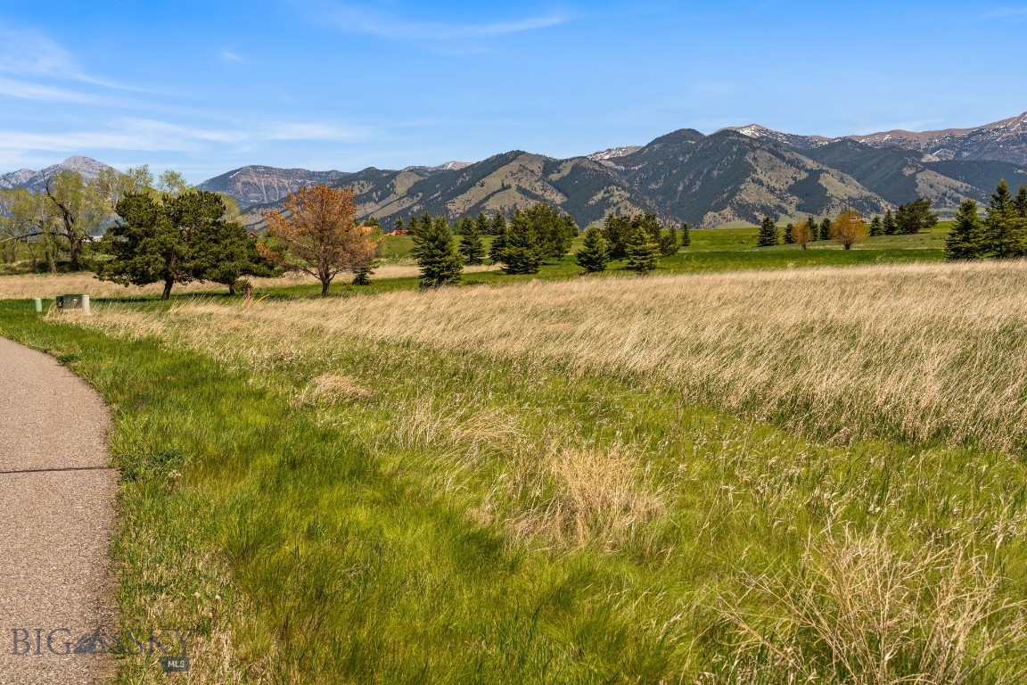 Bridger Lake Meadows - Land