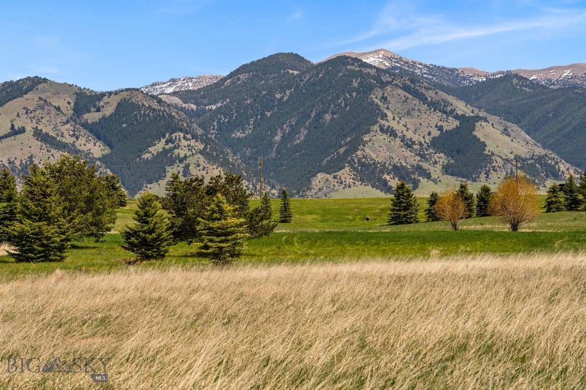 Bridger Lake Meadows - Land