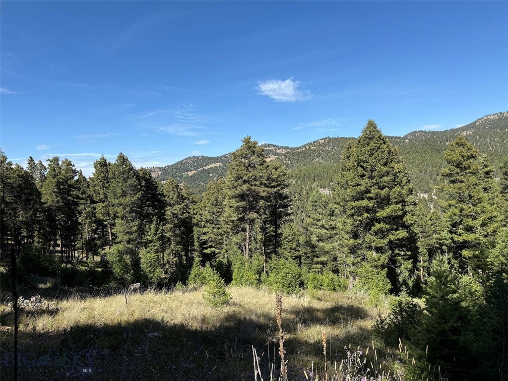 TBD A Chimney Lakes Road
