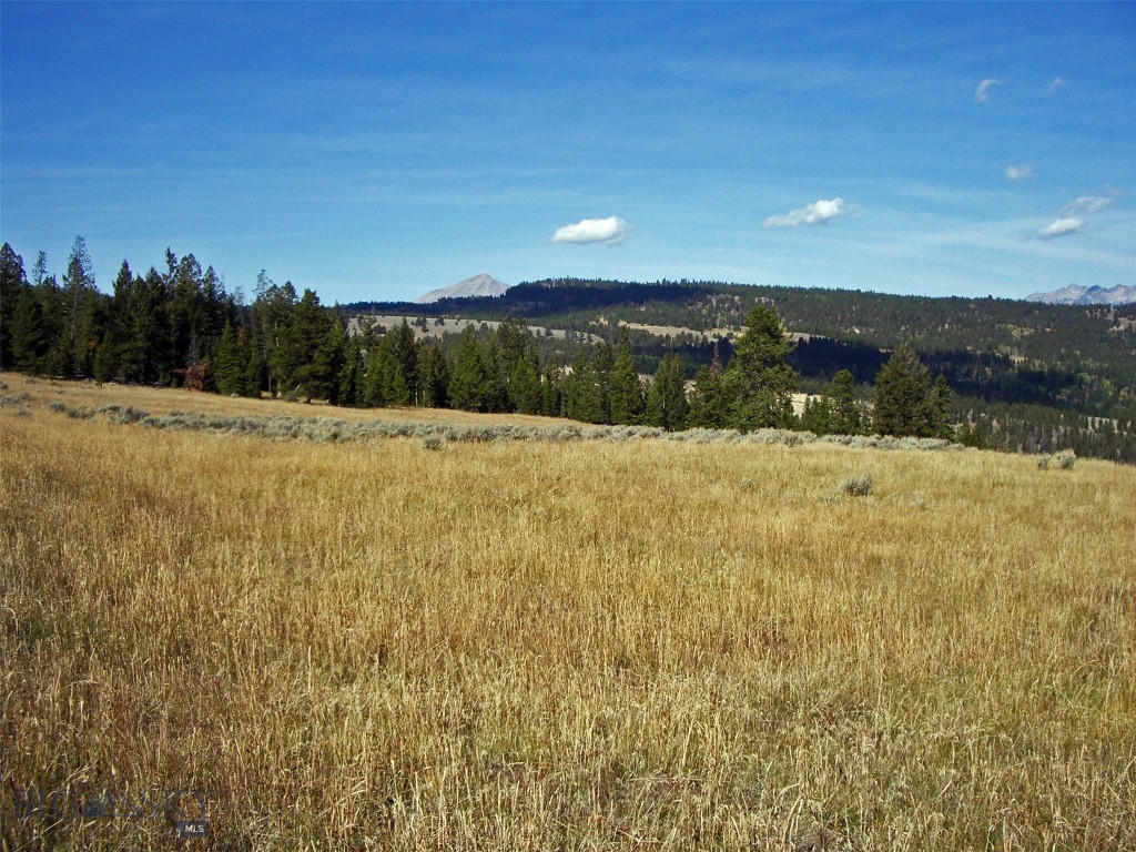 Big Sky, Montana 59716, United States, ,Land,Active,72718