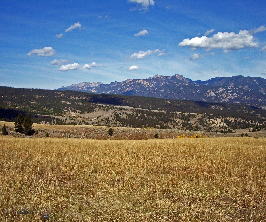 Big Sky, Montana 59716, United States, ,Land,Active,72718
