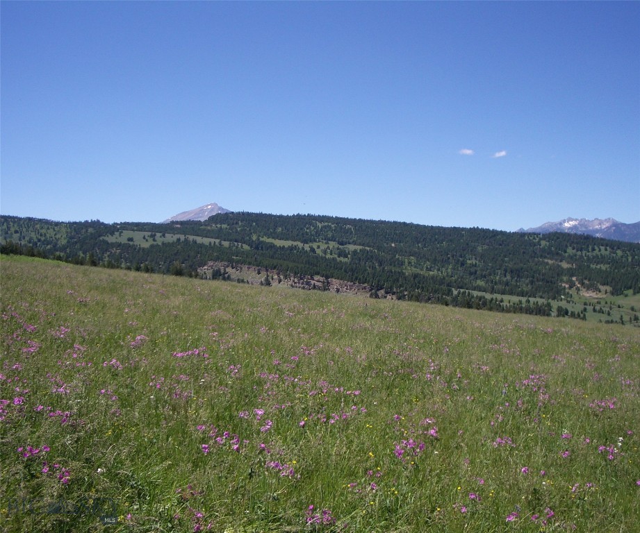 Big Sky, Montana 59716, United States, ,Land,Active,72718