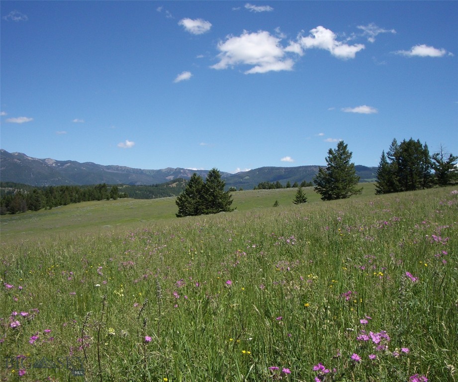 Big Sky, Montana 59716, United States, ,Land,Active,72718