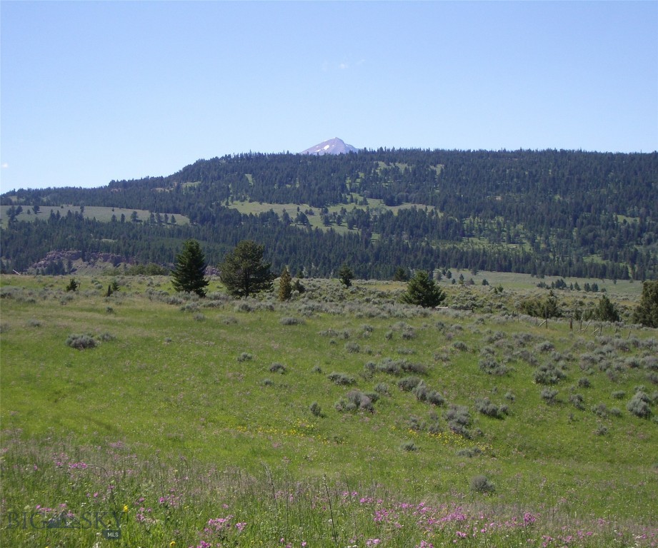 Big Sky, Montana 59716, United States, ,Land,Active,72718