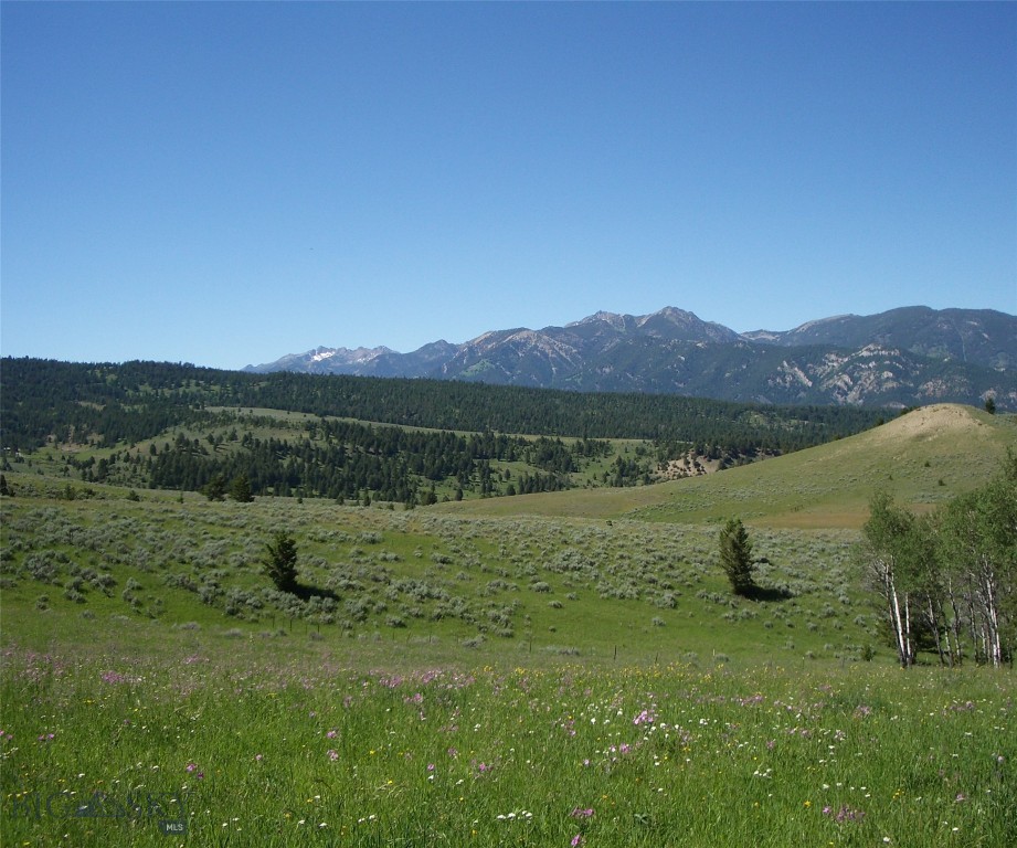 Big Sky, Montana 59716, United States, ,Land,Active,72718
