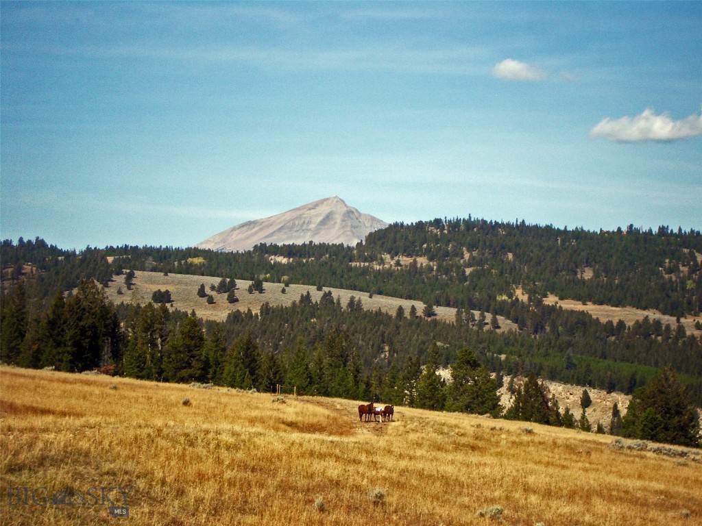 Big Sky, Montana 59716, United States, ,Land,Active,72718