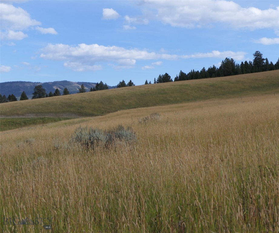 Big Sky, Montana 59716, United States, ,Land,Active,72718