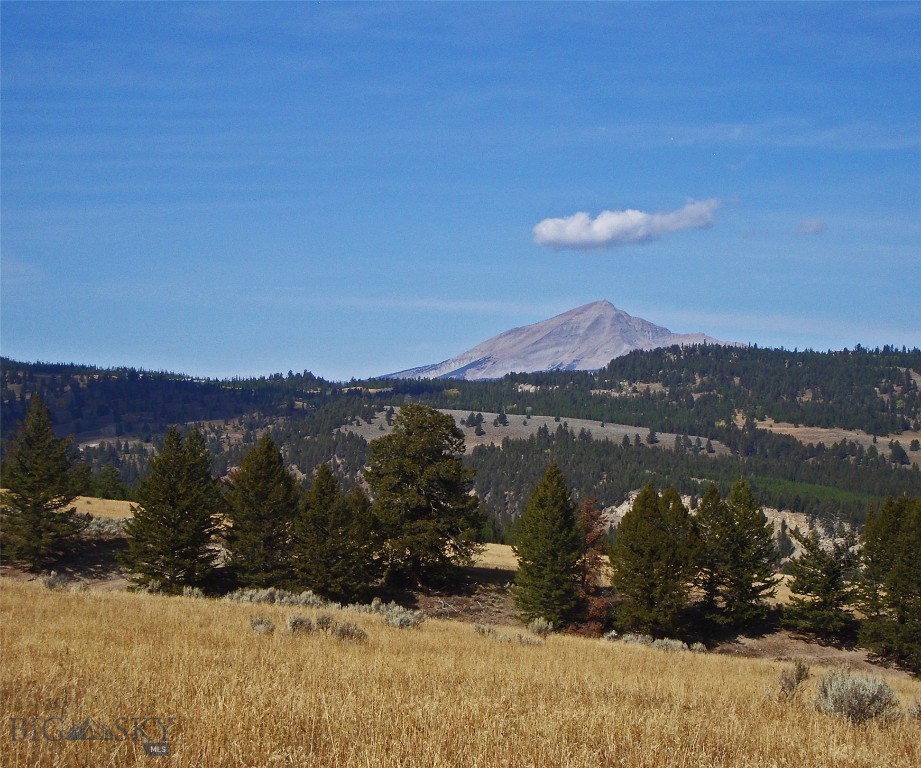 Big Sky, Montana 59716, United States, ,Land,Active,72718