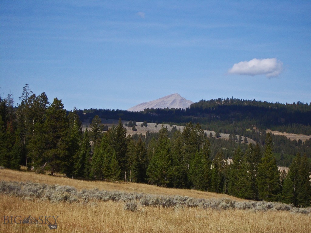 Big Sky, Montana 59716, United States, ,Land,Active,72718