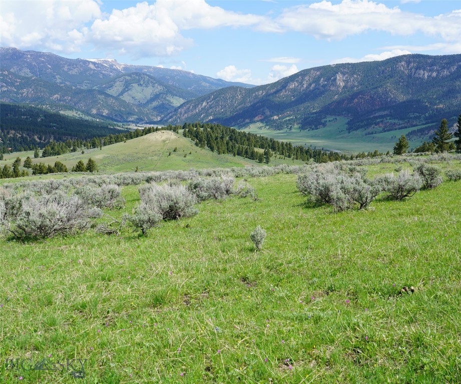 Big Sky, Montana 59716, United States, ,Land,Active,72718