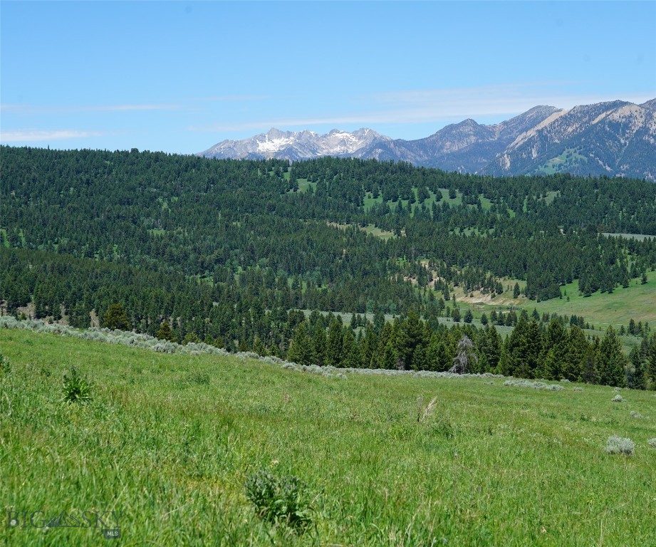 Big Sky, Montana 59716, United States, ,Land,Active,72718