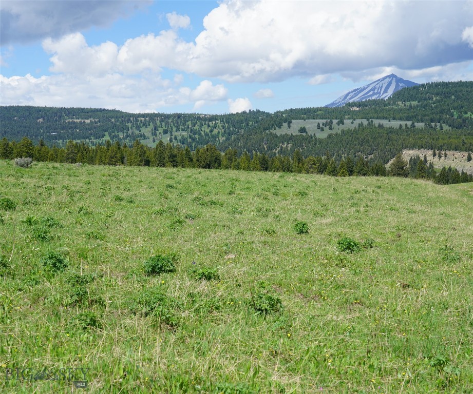 Big Sky, Montana 59716, United States, ,Land,Active,72718