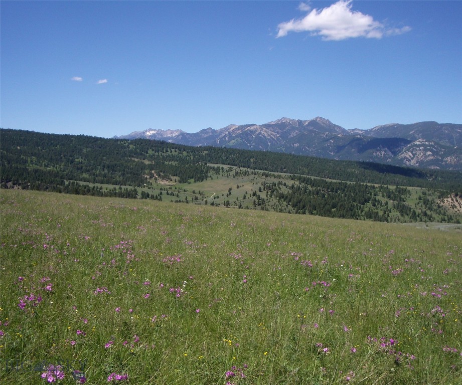 Big Sky, Montana 59716, United States, ,Land,Active,72718