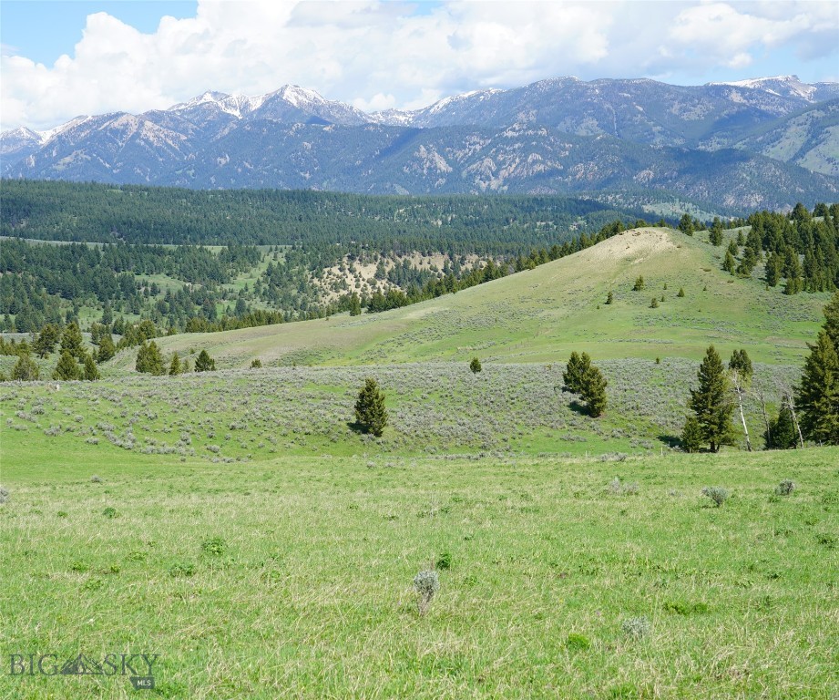 Big Sky, Montana 59716, United States, ,Land,Active,72718