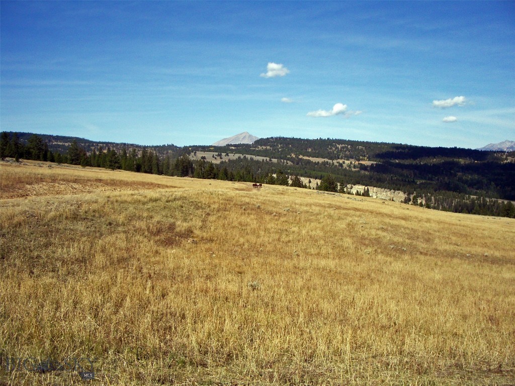 Big Sky, Montana 59716, United States, ,Land,Active,72718