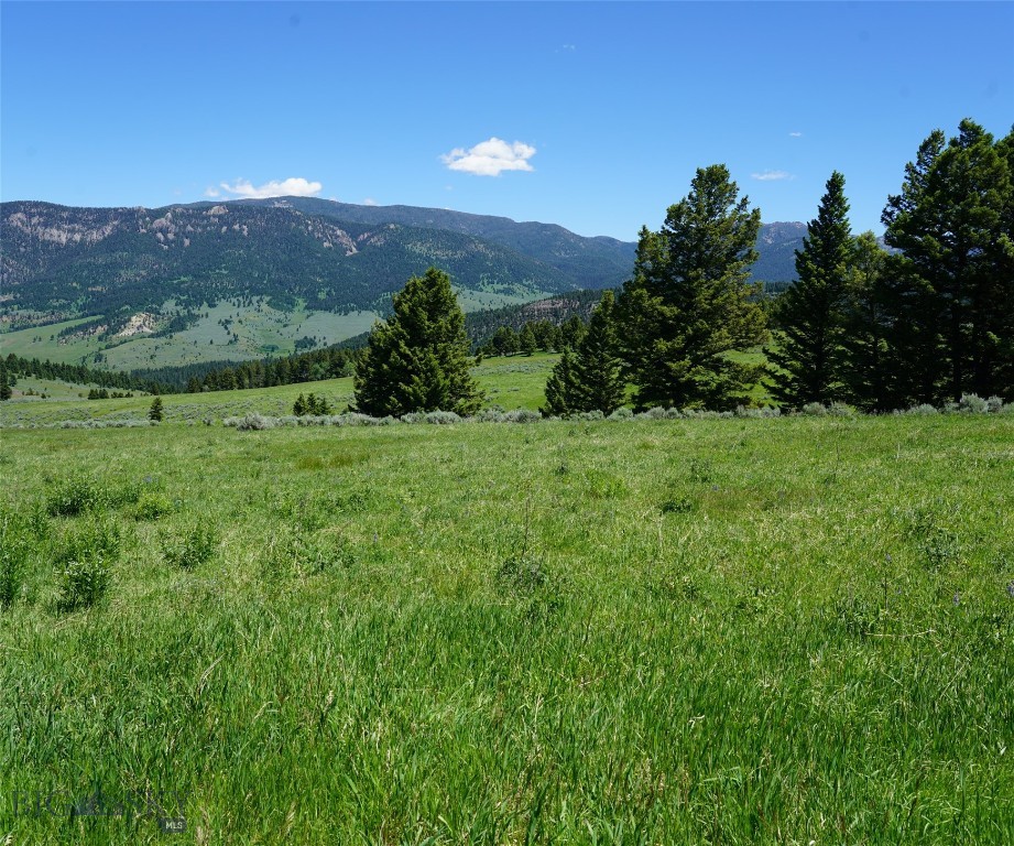 Big Sky, Montana 59716, United States, ,Land,Active,72718