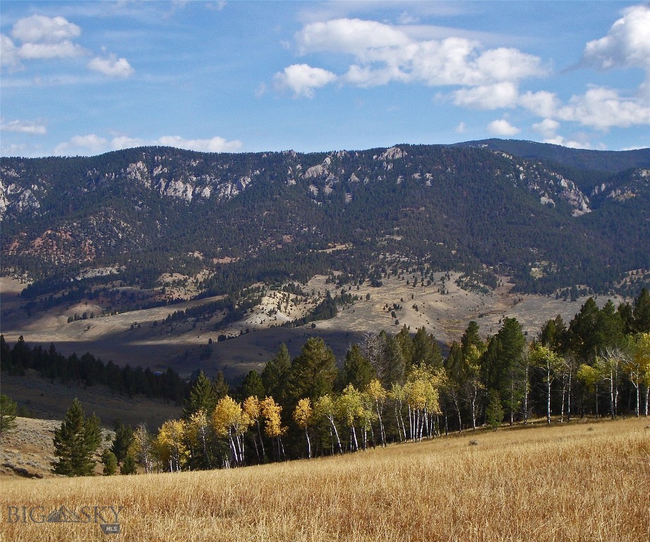 Big Sky, Montana 59716, United States, ,Land,Active,72718