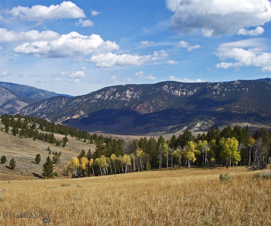 Big Sky, Montana 59716, United States, ,Land,Active,72718