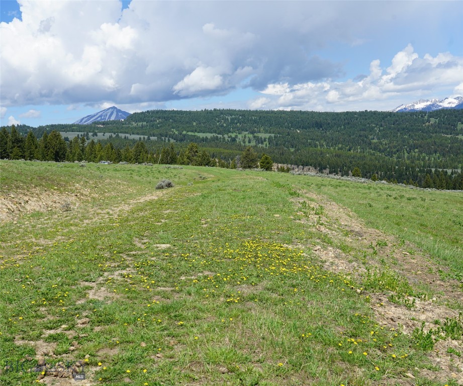 Big Sky, Montana 59716, United States, ,Land,Active,72718