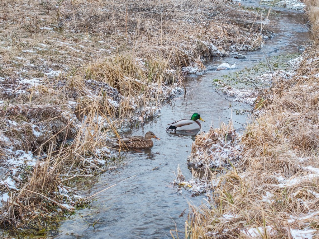 Brookside - Residential