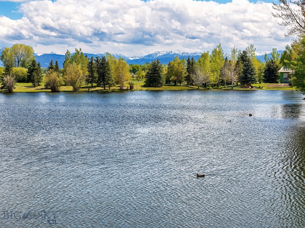 Bridger Lake Meadows - Land