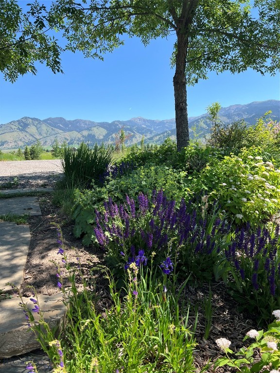 Autumn Ridge Ranch - Residential